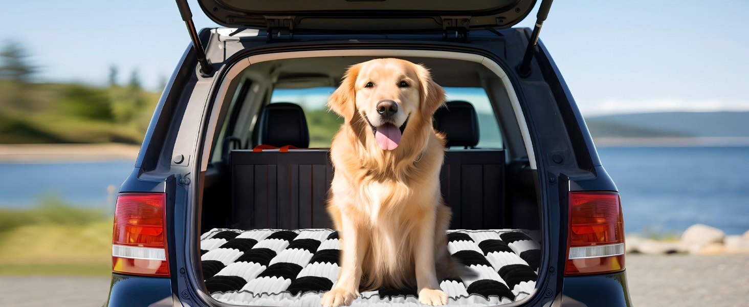 dog car bed