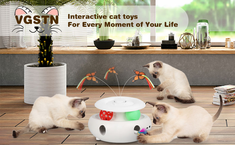 cat toy