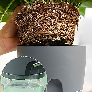 herb pot with watering system