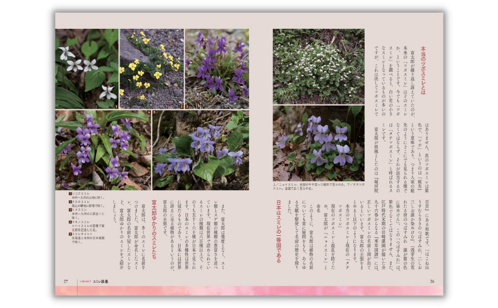 牧野富太郎 植物語り 草木と歩んだ94年 (ビジュアルで身につく