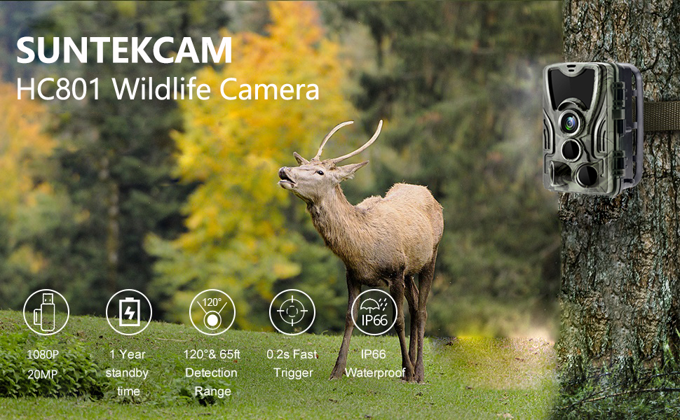 Trail Camera 20MP 1080P Hunting Game Cameras with Night Vision 0.2s Trigger Time