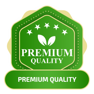 dog skin infection treatment, antibiotic ointment for dogs, dog allergy, dog allergy medicine