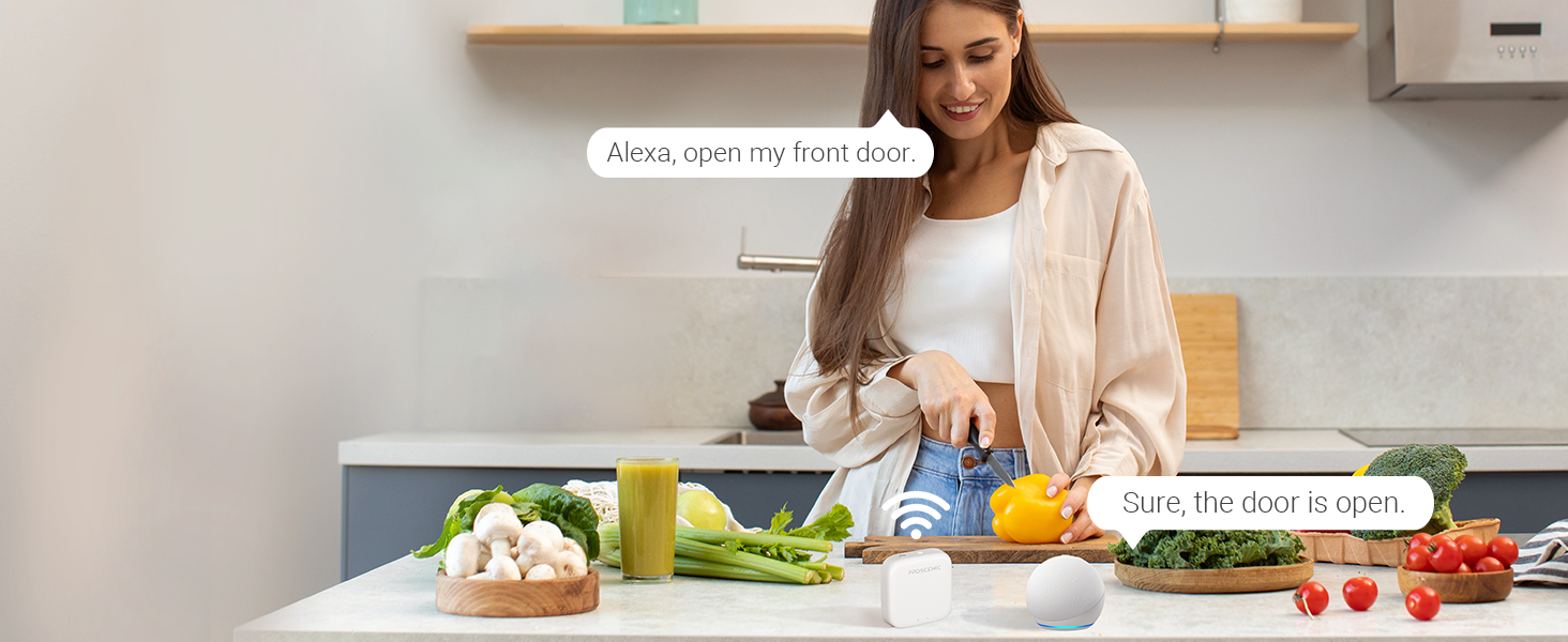 Voice Control with Alexa Siri Google