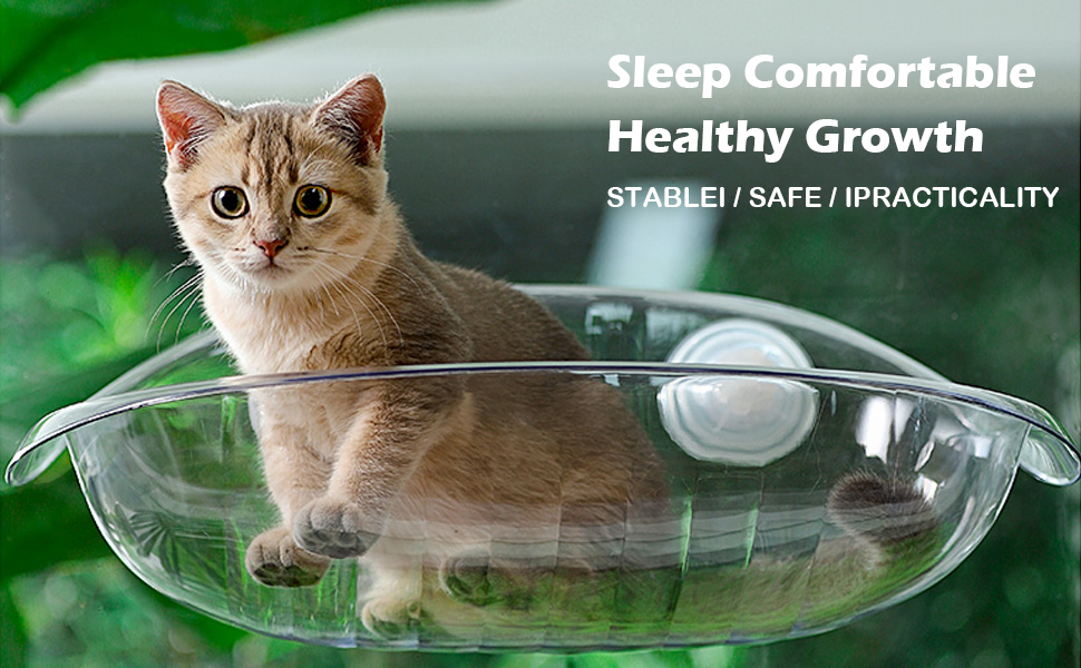 clear cat window perch