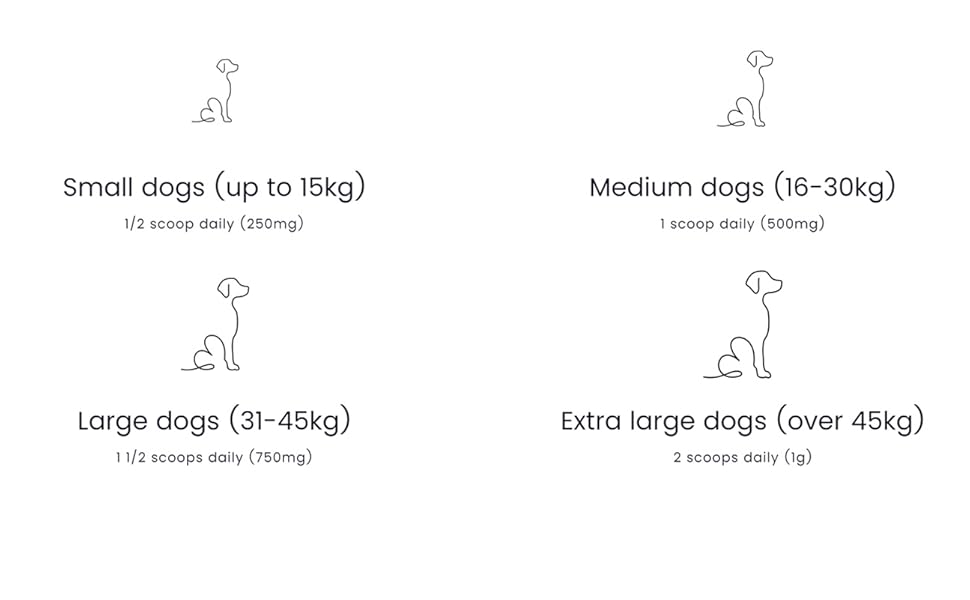 Puptons MSM Powder for Dogs 100g (200 scoops) Puptons Amazon.co.uk