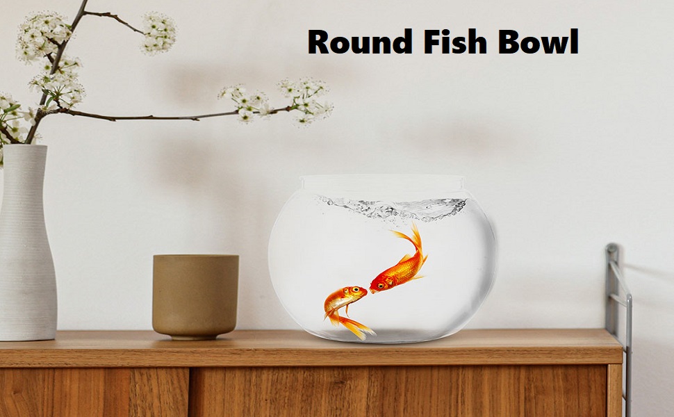 fish bowl