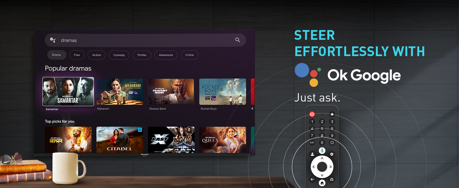 Panasonic Television, Ok Google