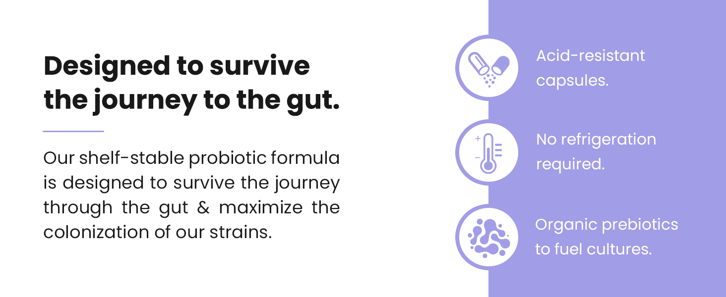 shelf stable probiotics for women