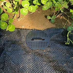 Black Garden Stakes Staples - 7