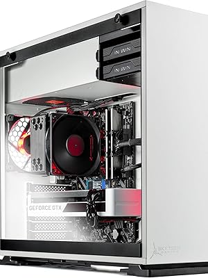 Amazon.com: Skytech Gaming Skytech Shiva Gaming PC Desktop