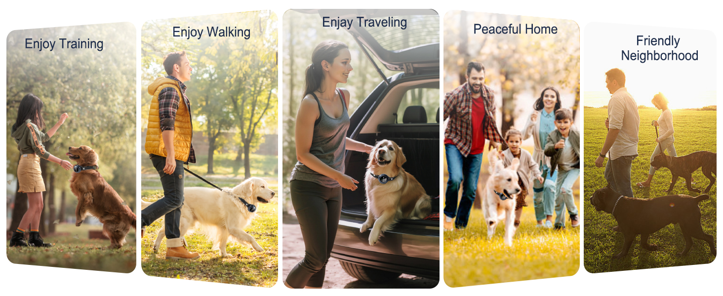 dog training collar
