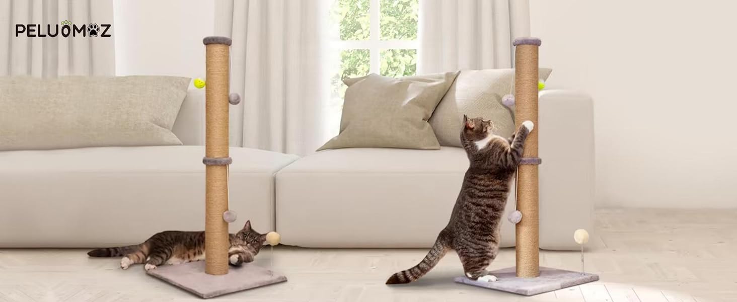 cat scratcing post