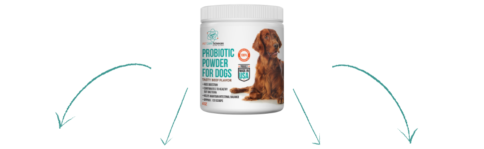 benefits of probiotic powder