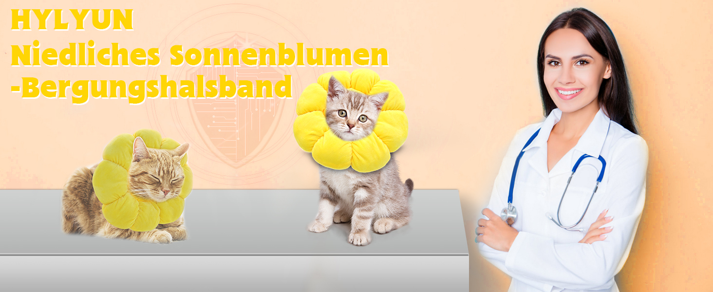 Halskrause Katze Halsband