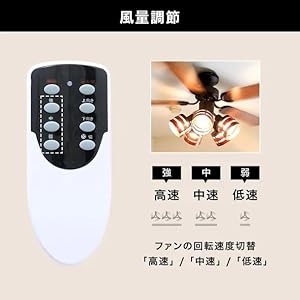 Amazon.co.jp : LOWYA ロウヤ 照明 シーリングファンライト