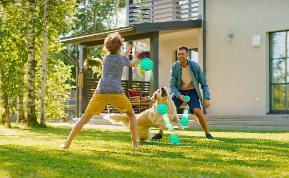 duty dog toy is convenient for the owner and the dog to pick up, throw, pick up the ball game