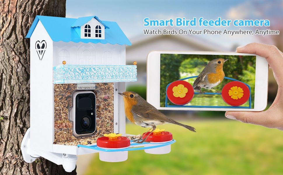 AMOEJOV Hummingbird Watching Camera,Metal Smart Bird