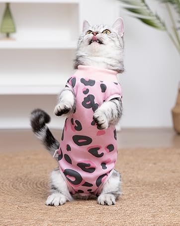 Cat Surgery Recovery Suit