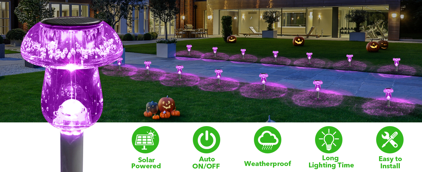SOLAR PATHWAY LIGHTS