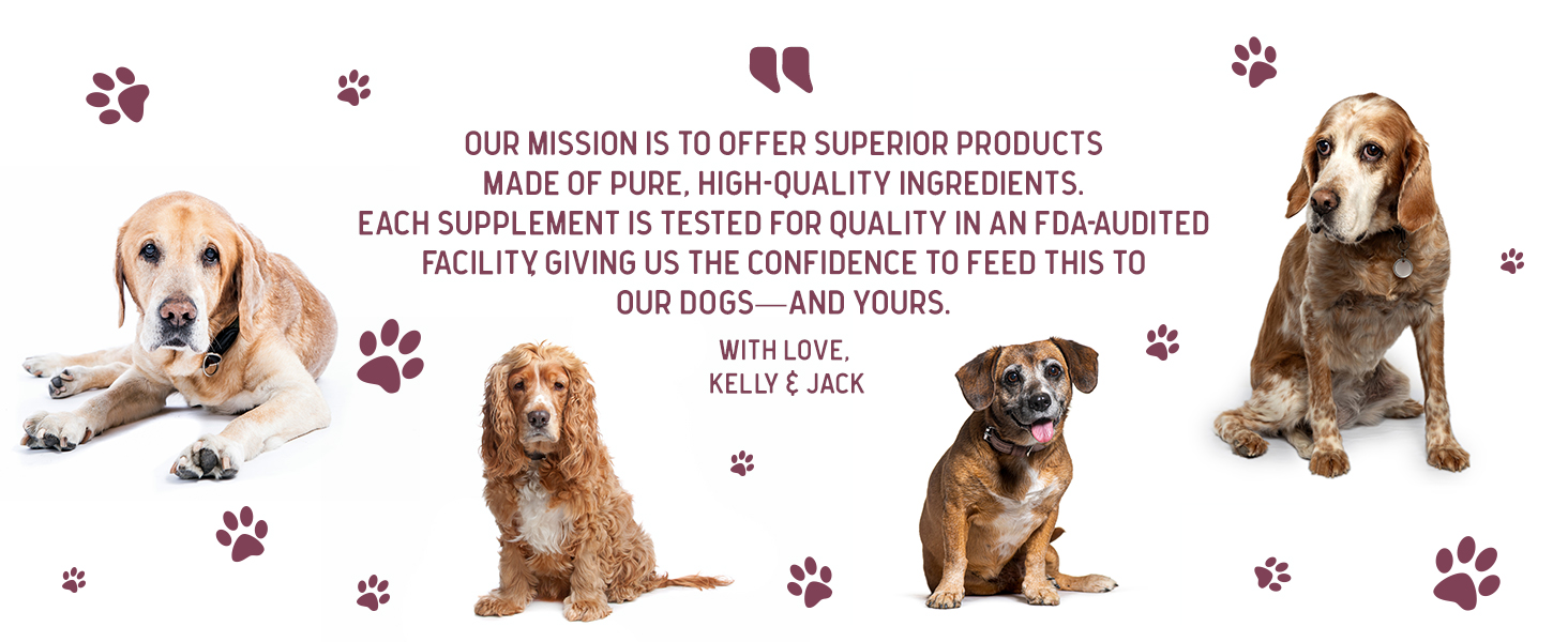 multivitamina vitaminas para perros