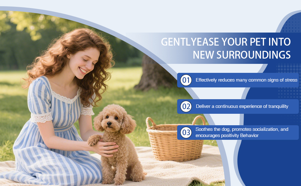 Dog Pheromone Calming Diffuser