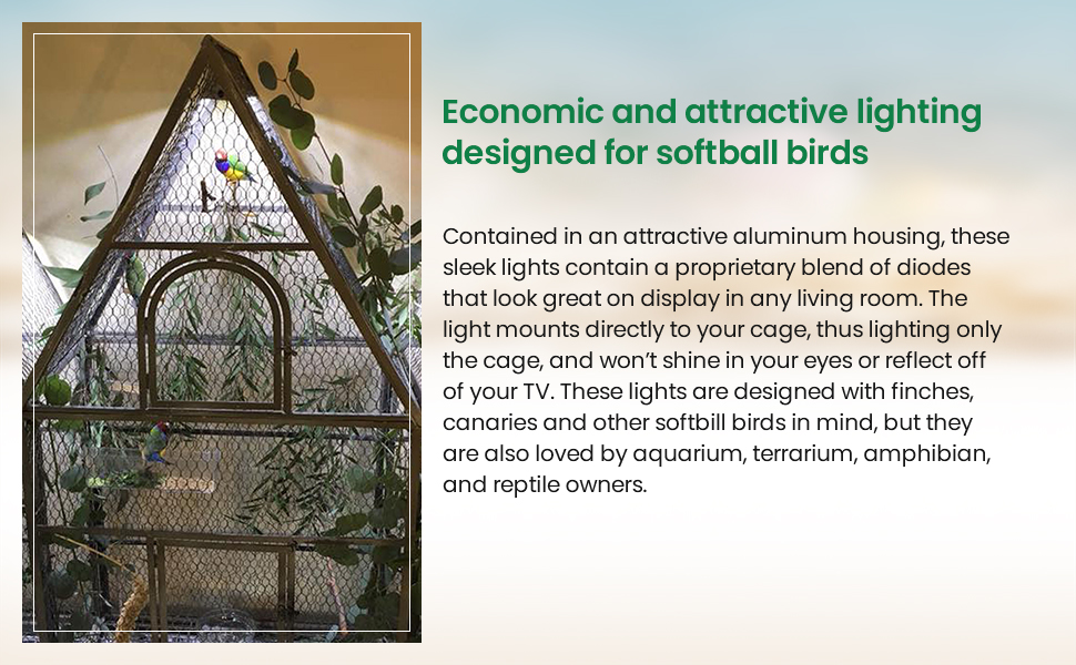 M&M Cage Company Bird Cage Light for Soft Bill Birds Full Spectrum