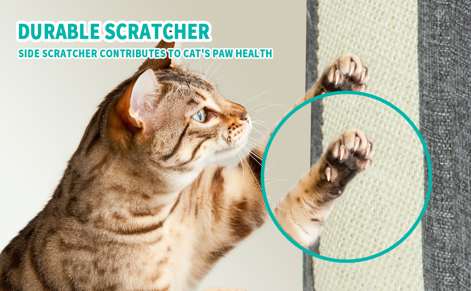 cat beds & furniture