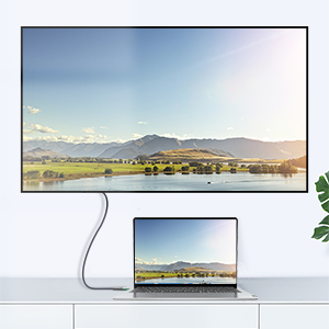 HDMI D Type