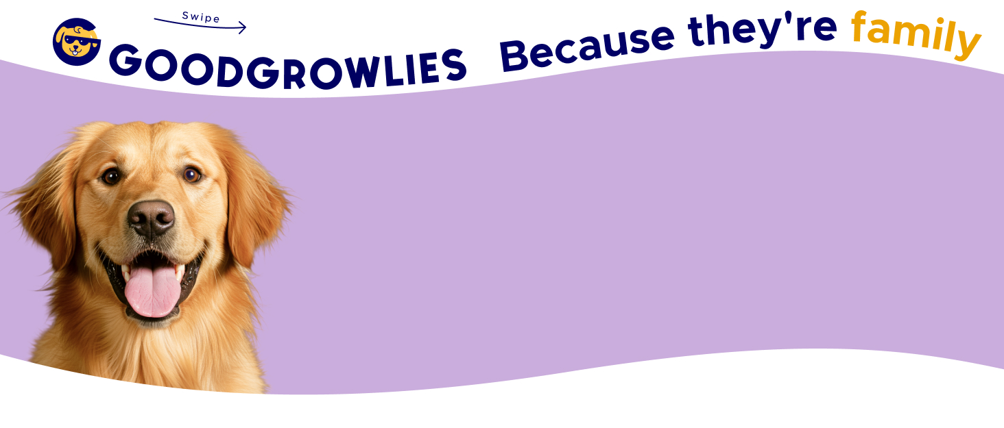 Calming Hemp Chews for Dogs - Anxiety and Stress Relief