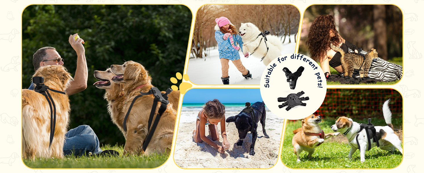 point of view collar camera for dogs