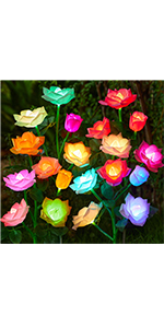 Solar Rose Lights