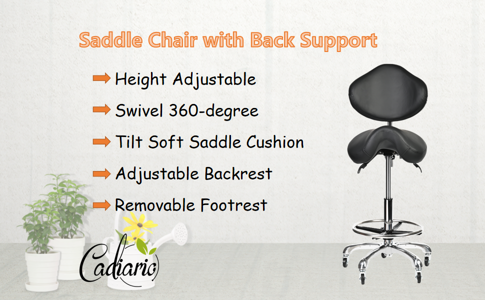 Chaise roulante des tabouts de selle