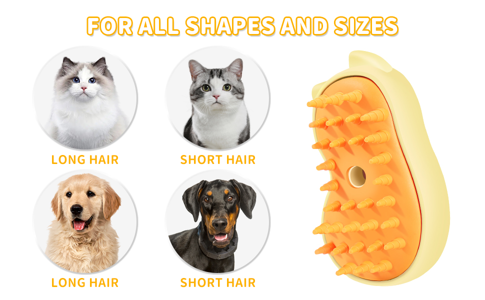 cat steam brush