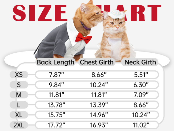 Amazon.com : QBLEEV Cat Tuxedo Suit, Sphynx Cat Suit for Cat