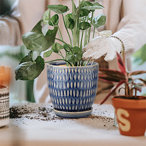 For Planting