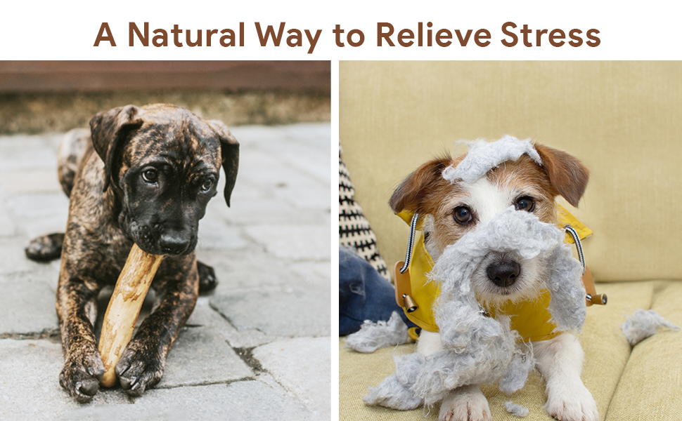 Buy Goofy Tails Coffee Wood Dog Toys Combo Splinter Free, Caffeine