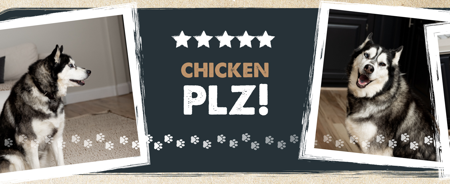 Mighty Paw Naturals Chicken Jerky for Dogs Chicken Jerky