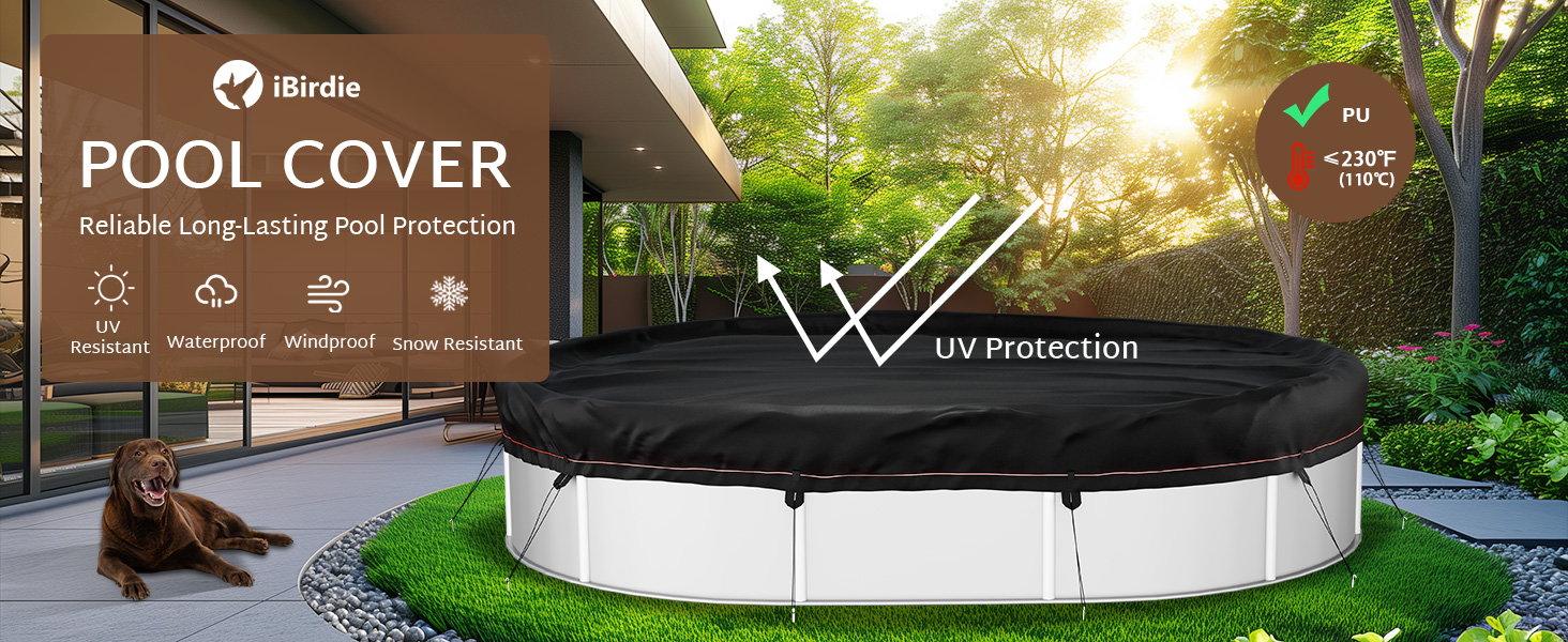 iBirdie Oval Pool Cover