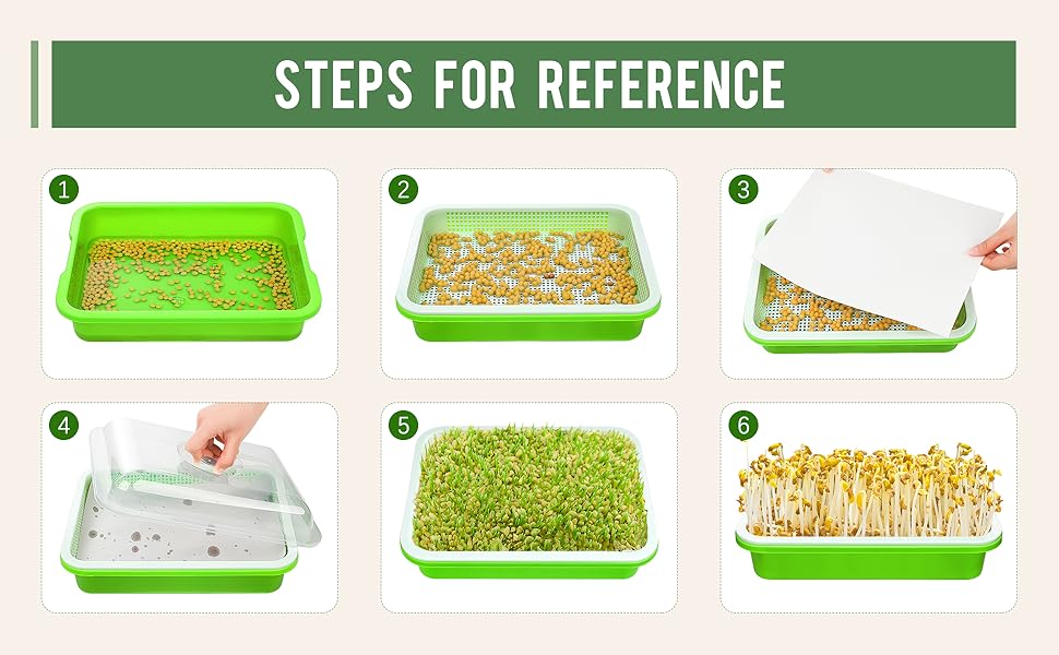 seed starter