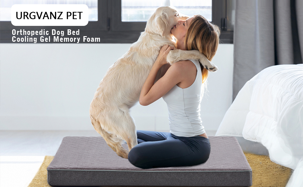 memory foam cooling dog bed