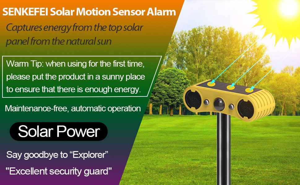 outdoor motion sensor alarm