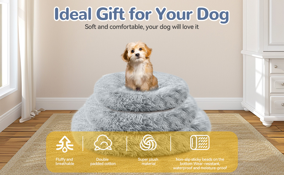 the ideal gift for your dog