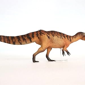 Amazon PNSO 成長シリーズ 66 シノプリオサウルス スピノサウルス科 リアル 恐竜 フィギュア プラモデル 模型