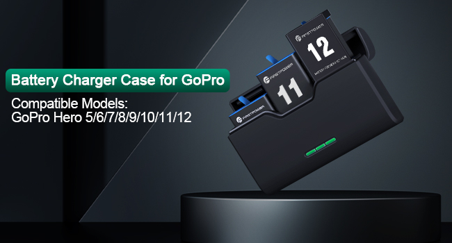 gopro battery charger