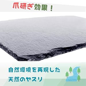 【亀 】ページ　　リクエスト商品のため 81ZnIiIYXHL.jpg