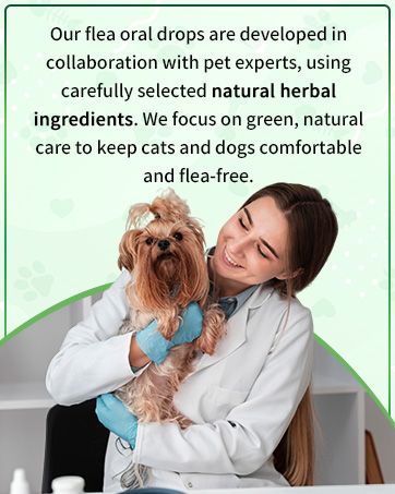 oral flea treatment for dogs and cats