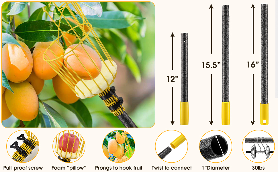 10FT Fruit Picker Tool, Adjustable Fruits Picker with Pole and Big