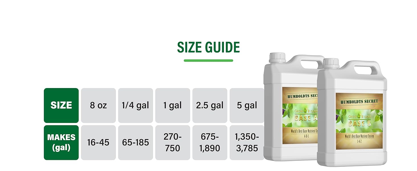 Base A and B size guide