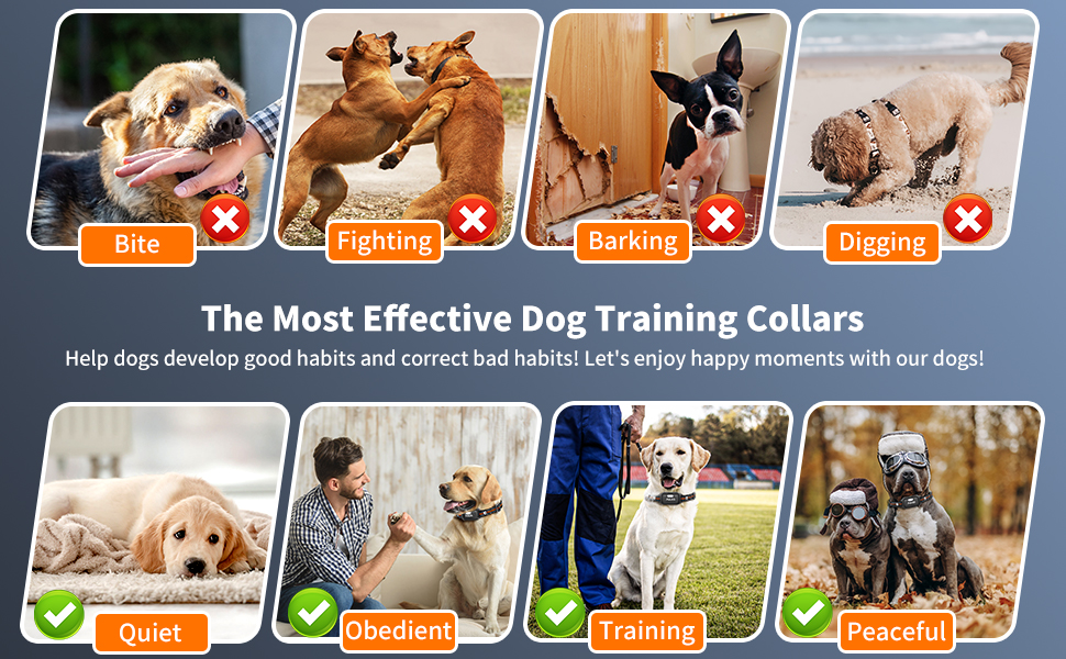 No Shock Vibrating Dog Collar