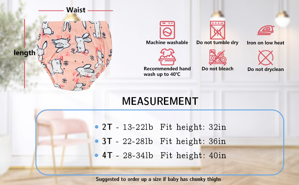 Toddler Potty Training Underwear